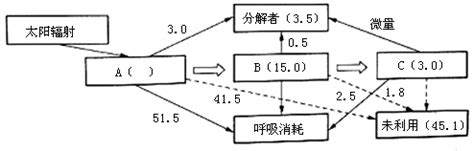 能量流失|46.2：能量流经生态系统